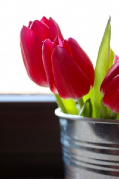 Decorar con flores frescas en casa