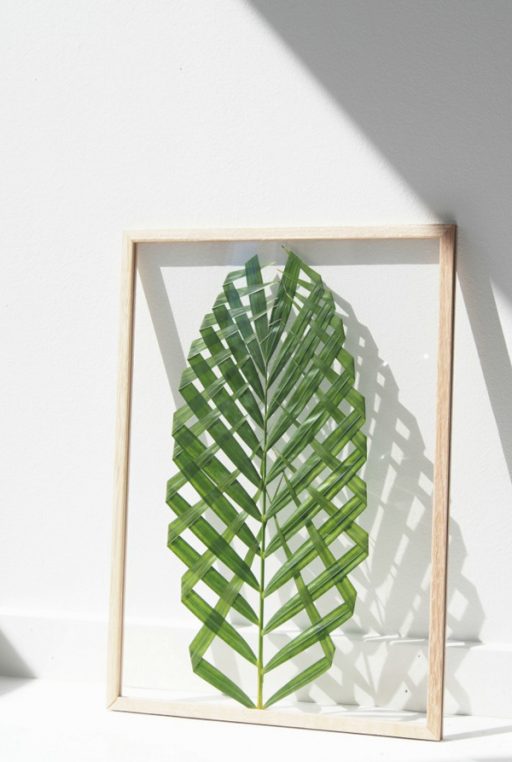 DIY-hoja-palmera-enmarcada