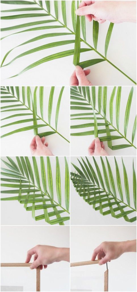 DIY-paso-a-paso-palmera-enmarcada