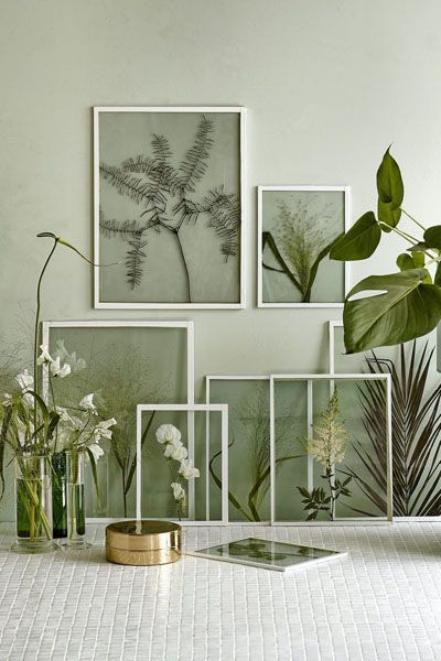 DIY-wallart-plantas-y-flores